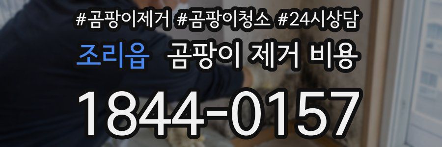 조리읍 곰팡이 제거 비용