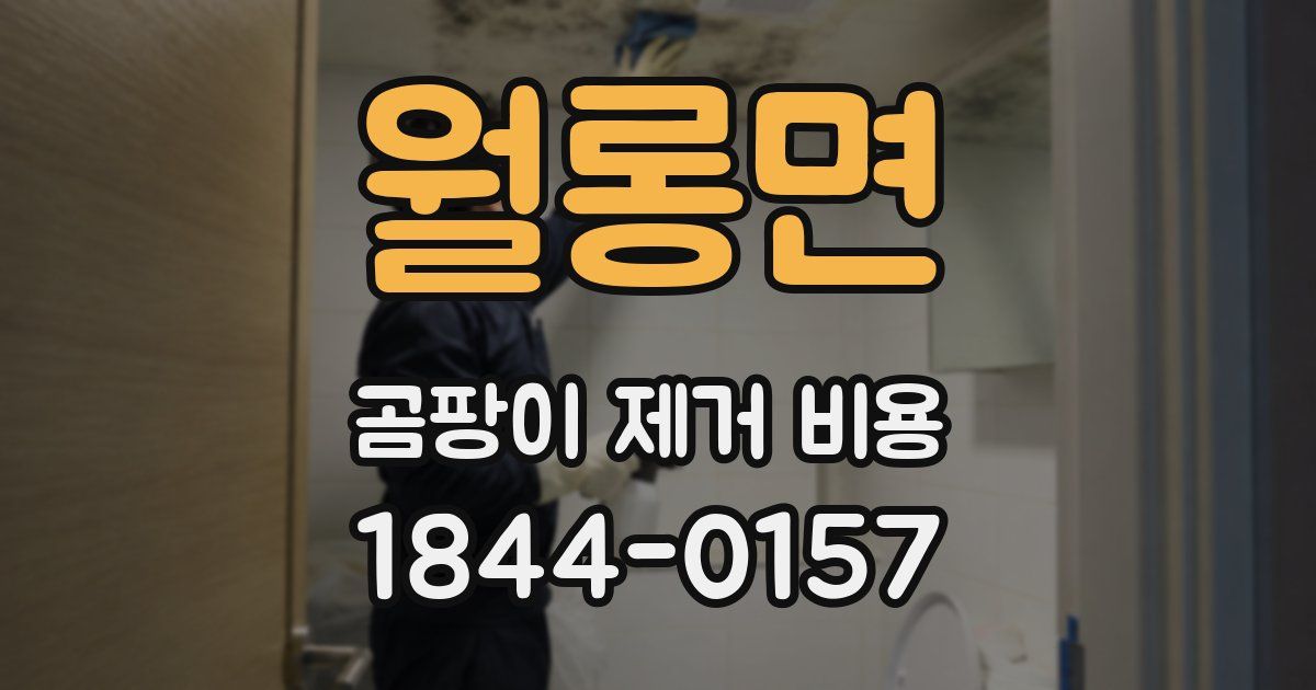 월롱면 곰팡이 제거 비용