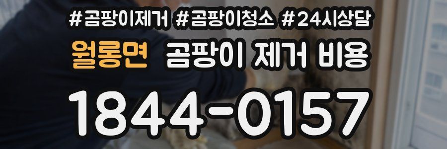 월롱면 곰팡이 제거 비용