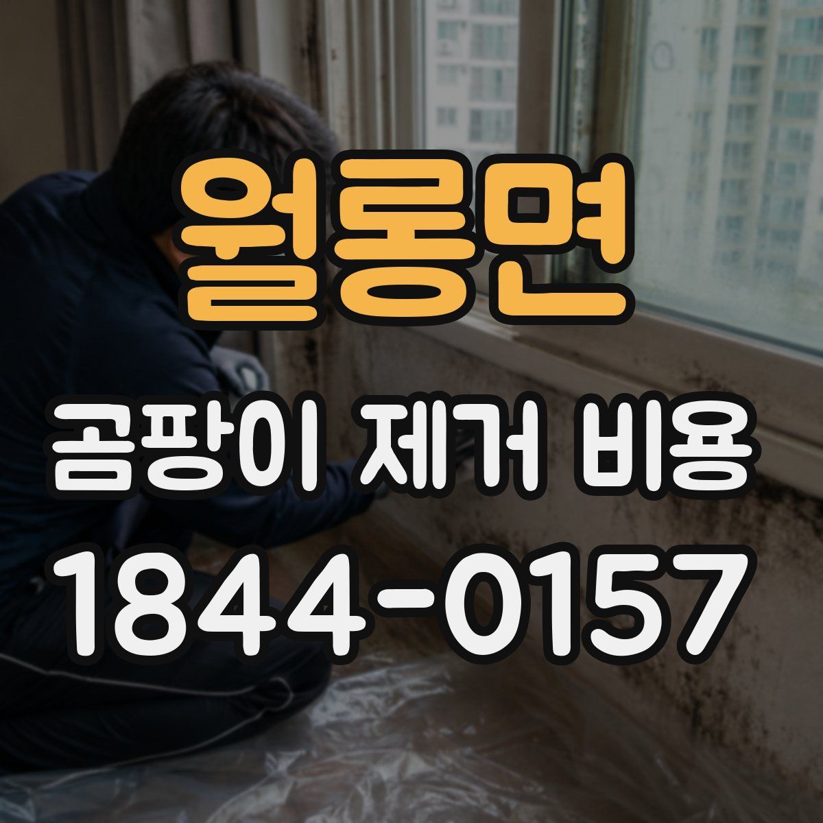 월롱면 곰팡이 제거 비용