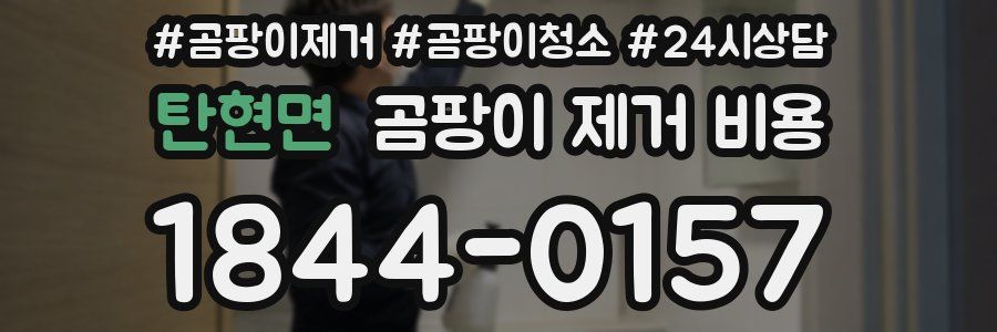 탄현면 곰팡이 제거 비용