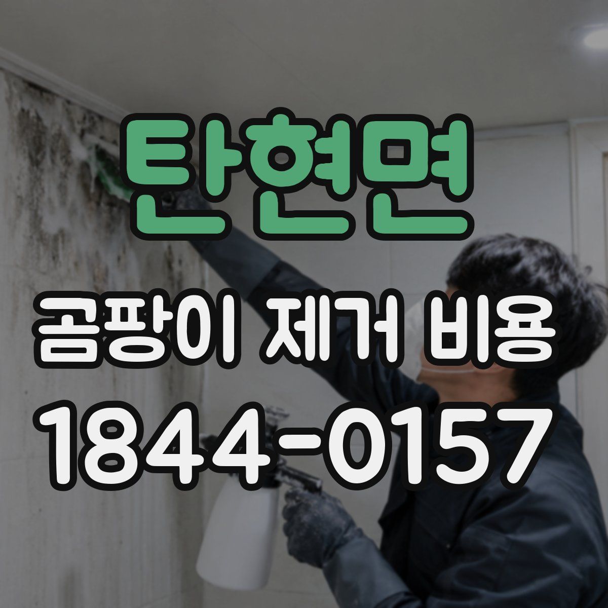 탄현면 곰팡이 제거 비용
