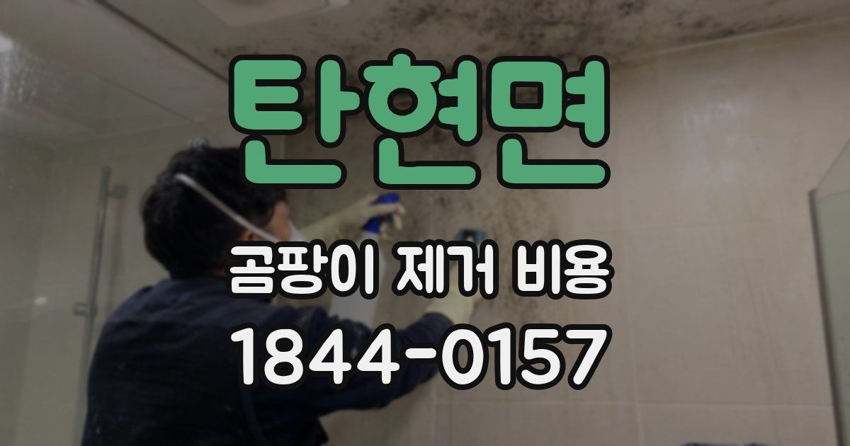탄현면 곰팡이 제거 비용