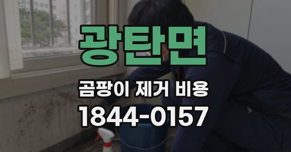 광탄면 곰팡이 제거 비용