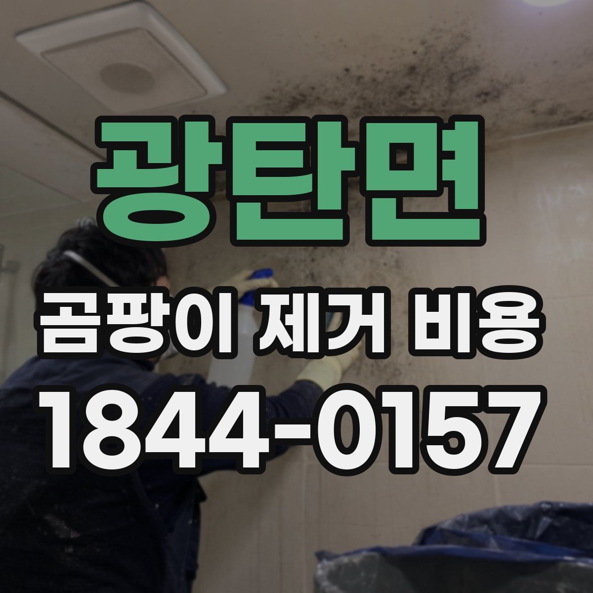 광탄면 곰팡이 제거 비용