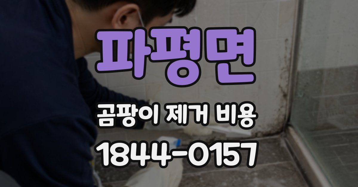 파평면 곰팡이 제거 비용