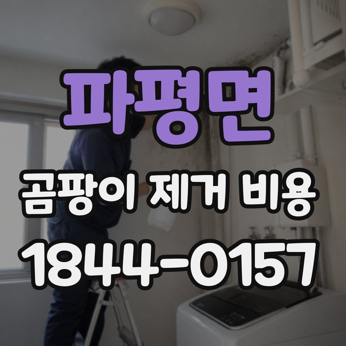 파평면 곰팡이 제거 비용