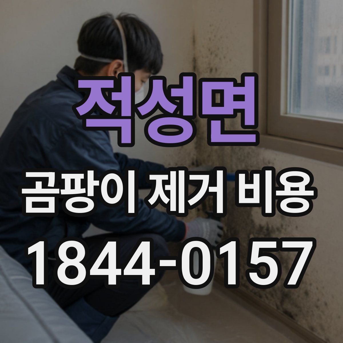 적성면 곰팡이 제거 비용