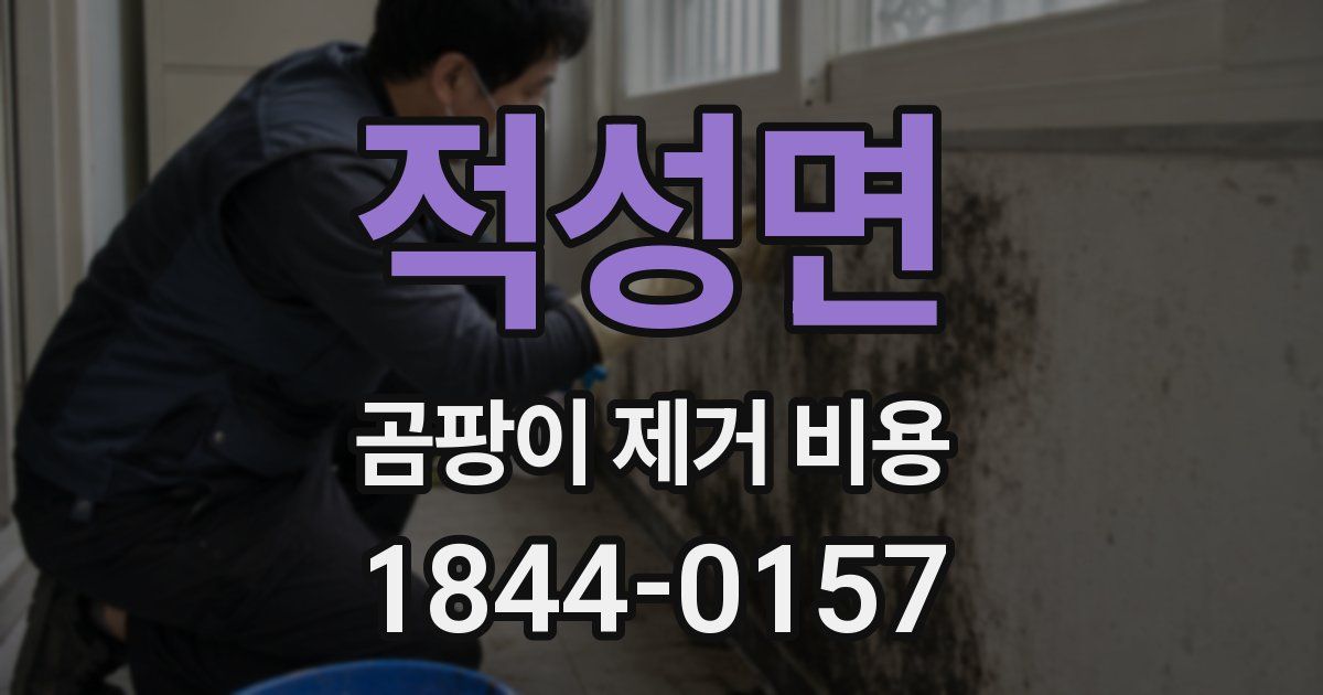 적성면 곰팡이 제거 비용