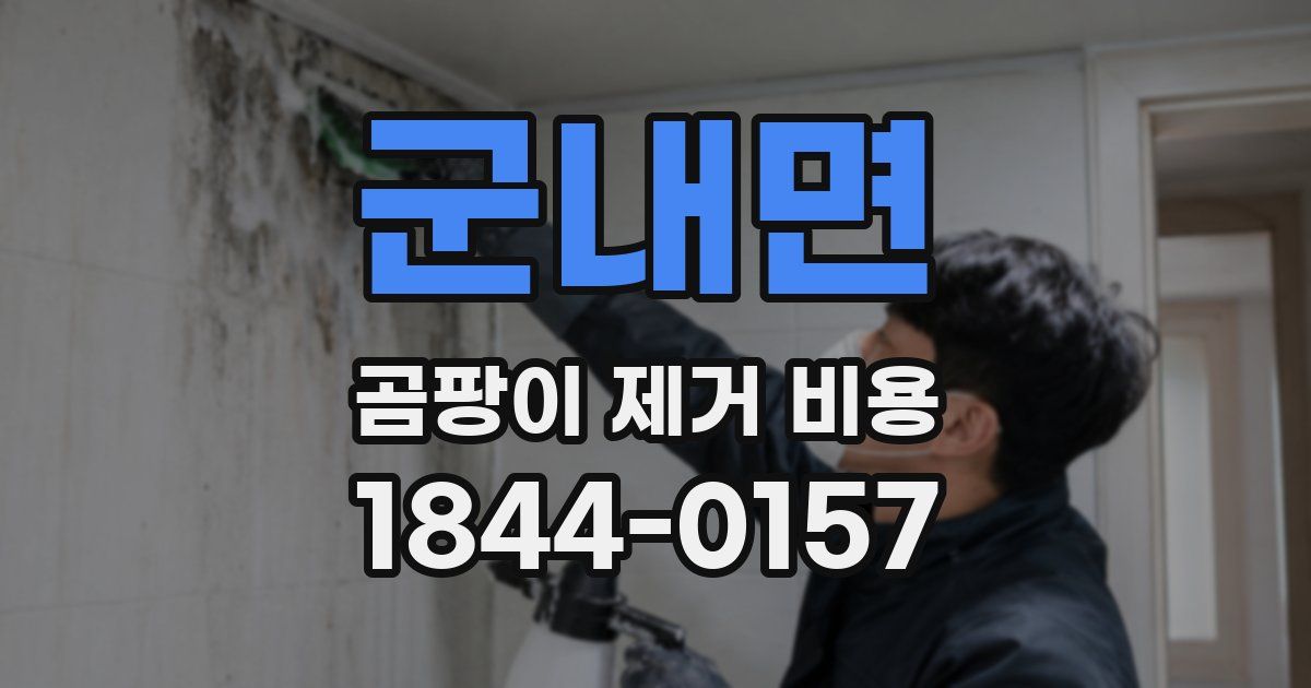 군내면 곰팡이 제거 비용