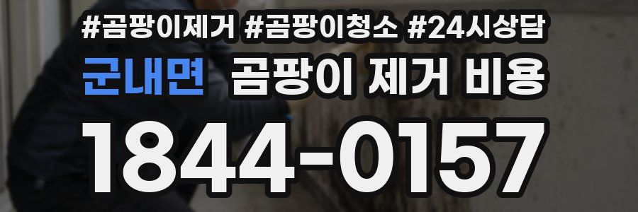 군내면 곰팡이 제거 비용