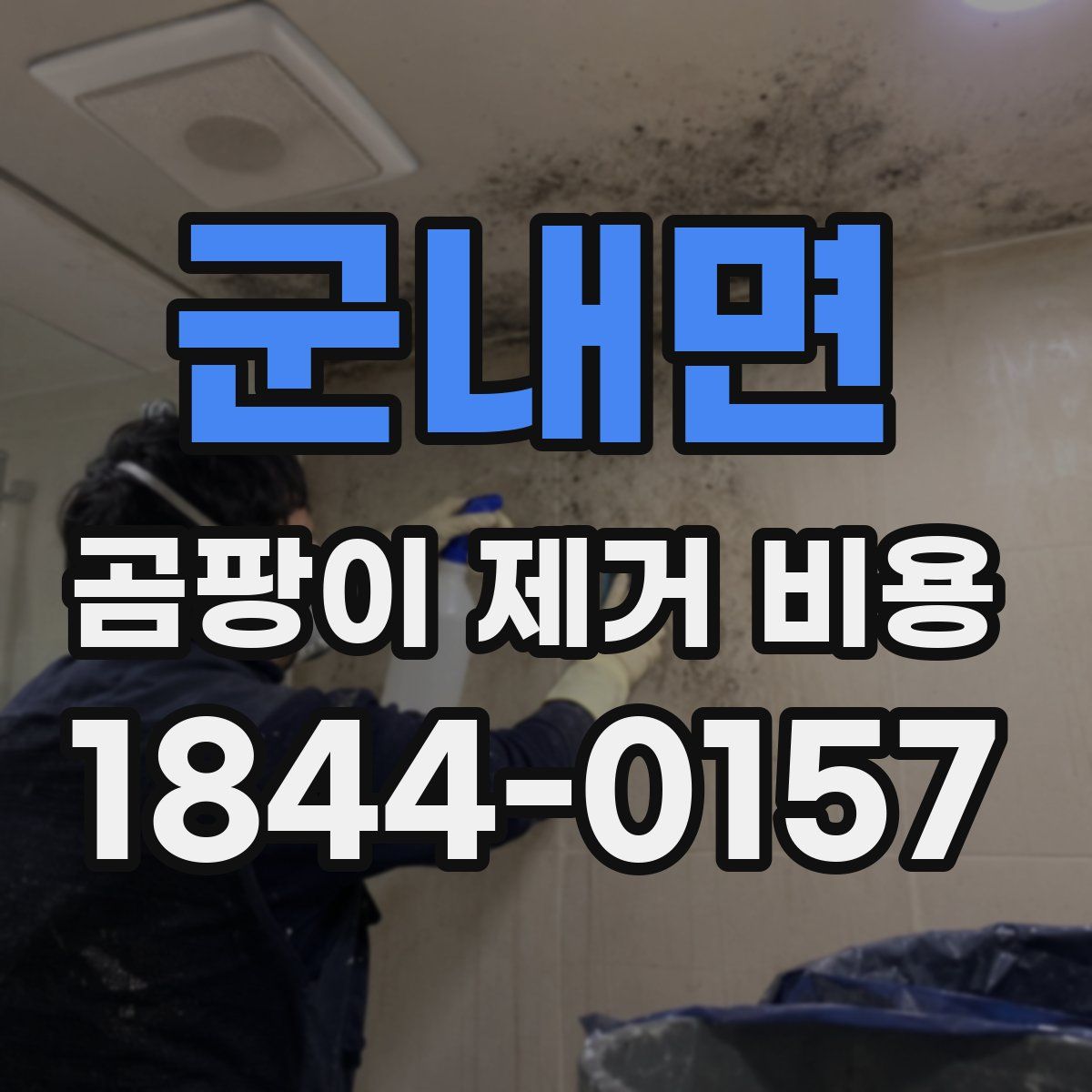 군내면 곰팡이 제거 비용
