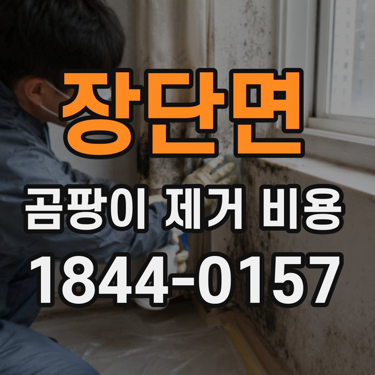 장단면 곰팡이 제거 비용