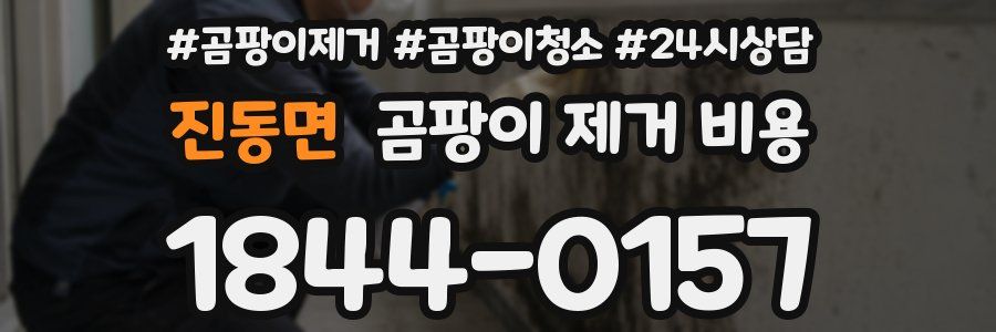 진동면 곰팡이 제거 비용