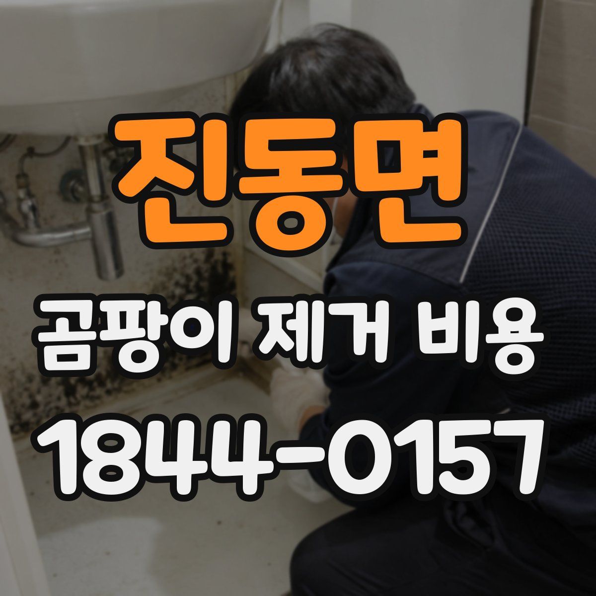 진동면 곰팡이 제거 비용
