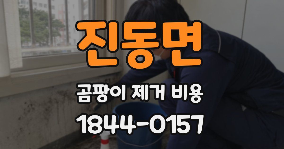 진동면 곰팡이 제거 비용