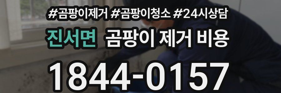 진서면 곰팡이 제거 비용