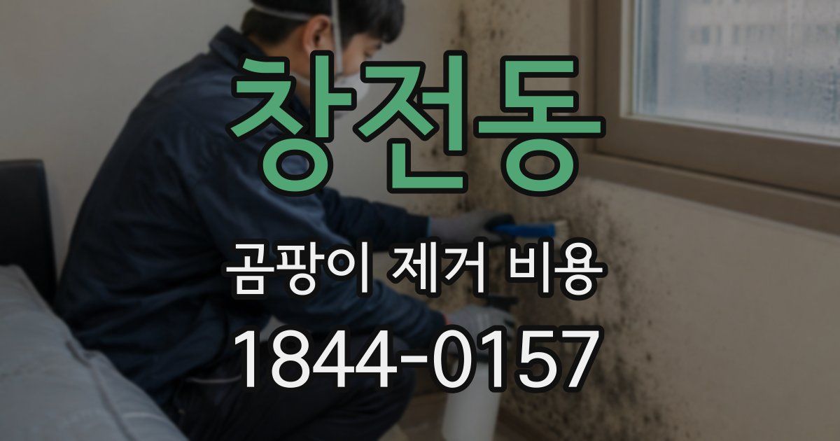 창전동 곰팡이 제거 비용
