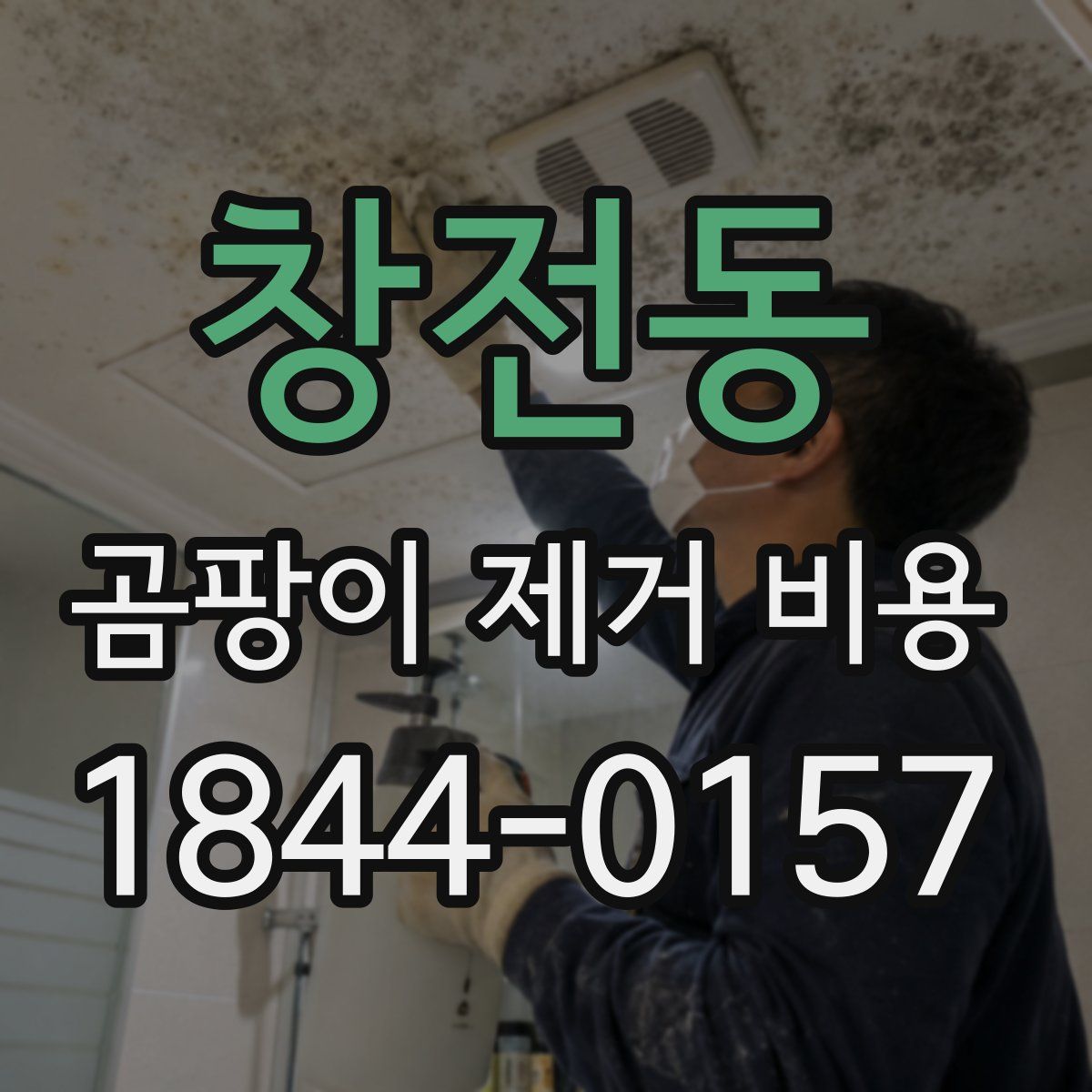 창전동 곰팡이 제거 비용