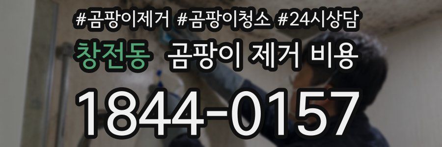 창전동 곰팡이 제거 비용