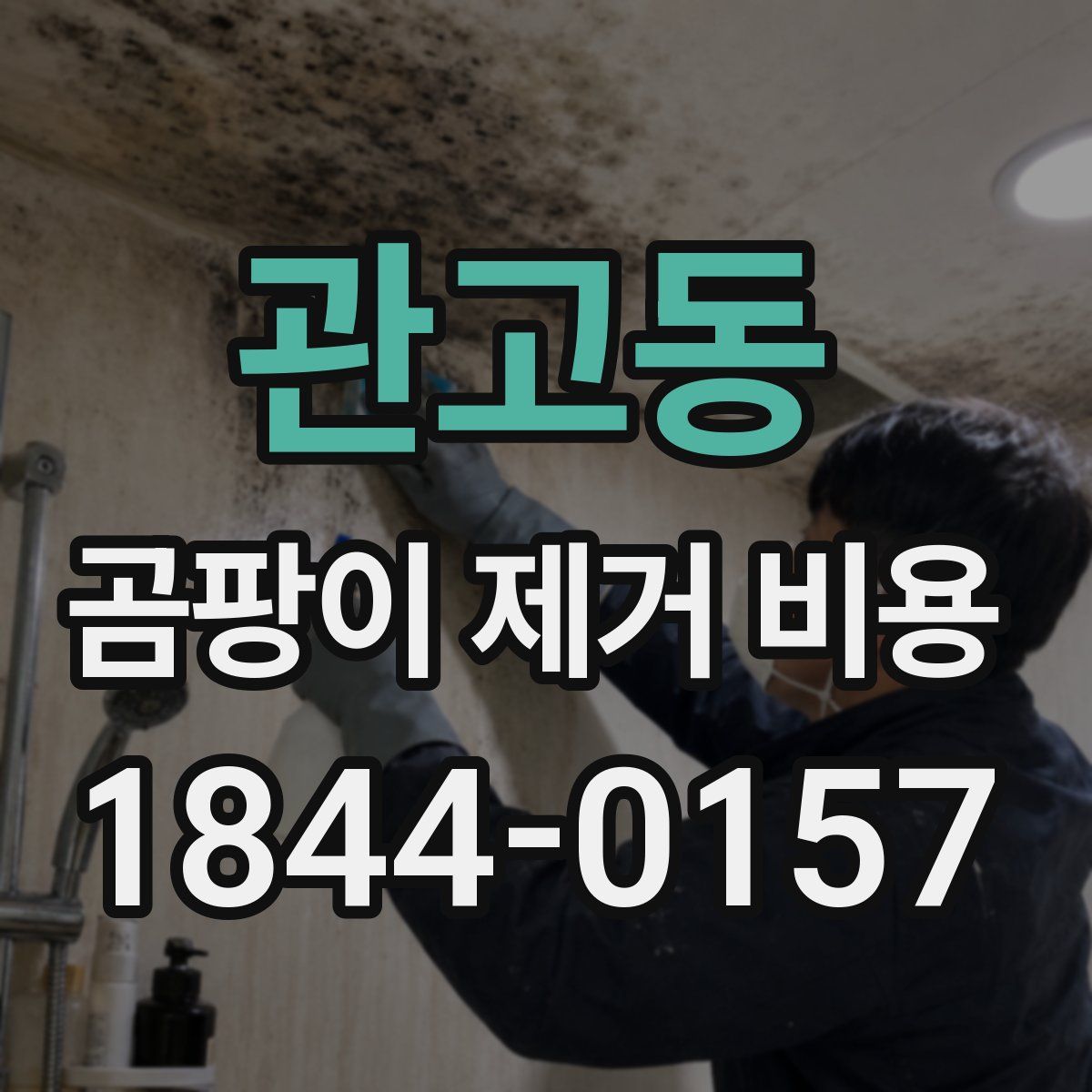 관고동 곰팡이 제거 비용
