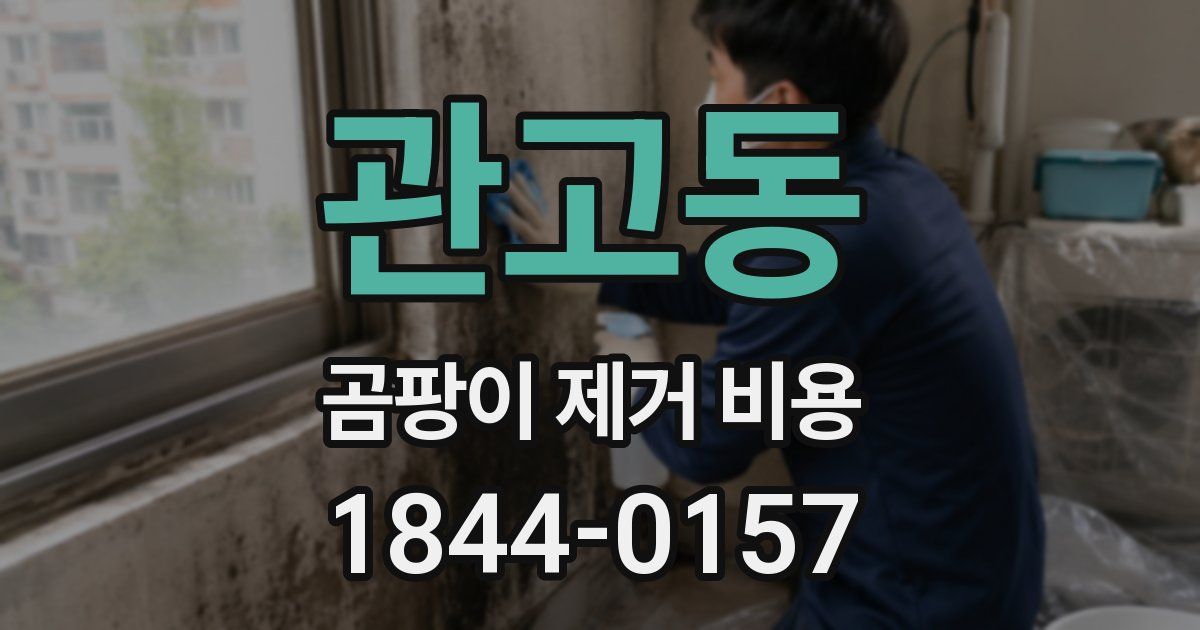 관고동 곰팡이 제거 비용