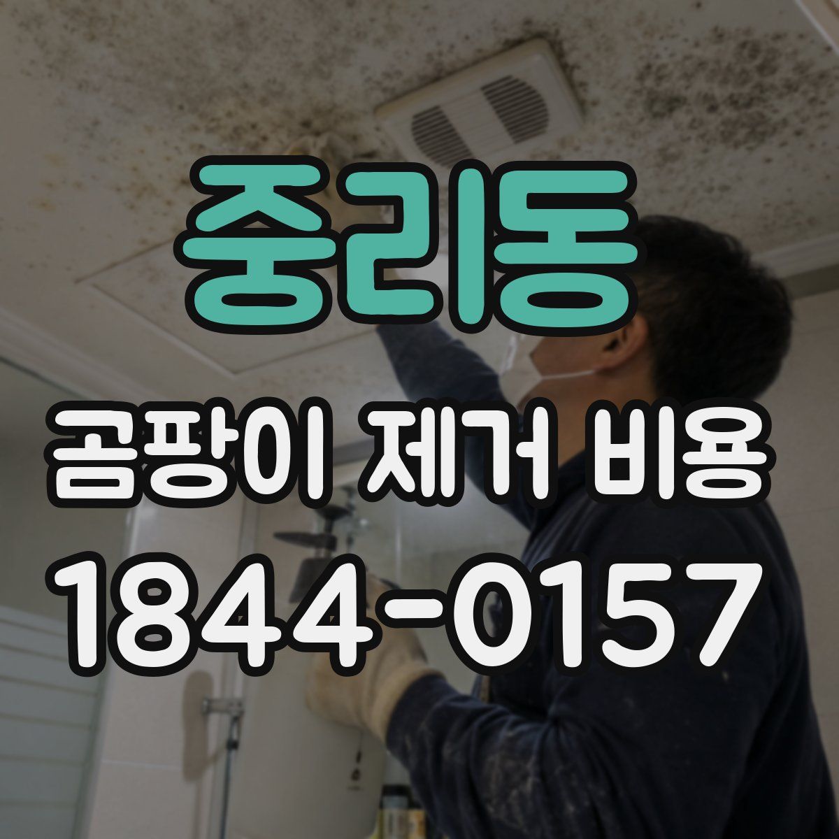 중리동 곰팡이 제거 비용