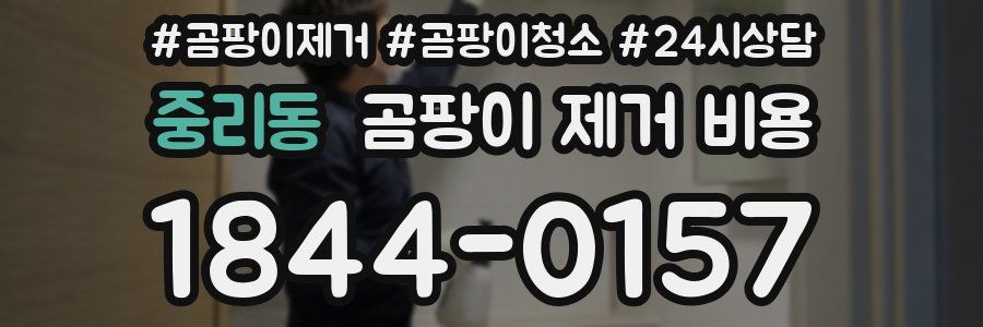 중리동 곰팡이 제거 비용