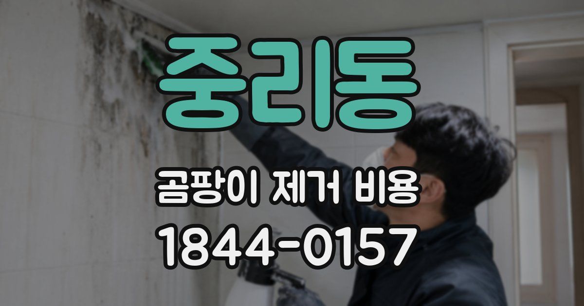중리동 곰팡이 제거 비용
