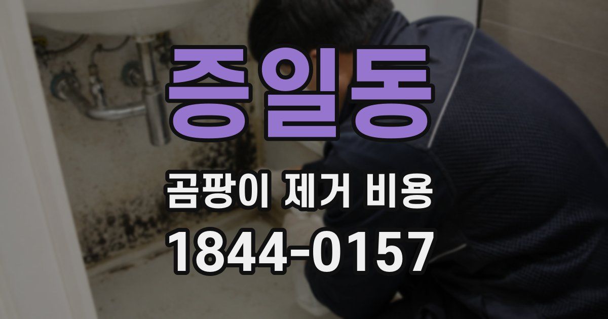 증일동 곰팡이 제거 비용
