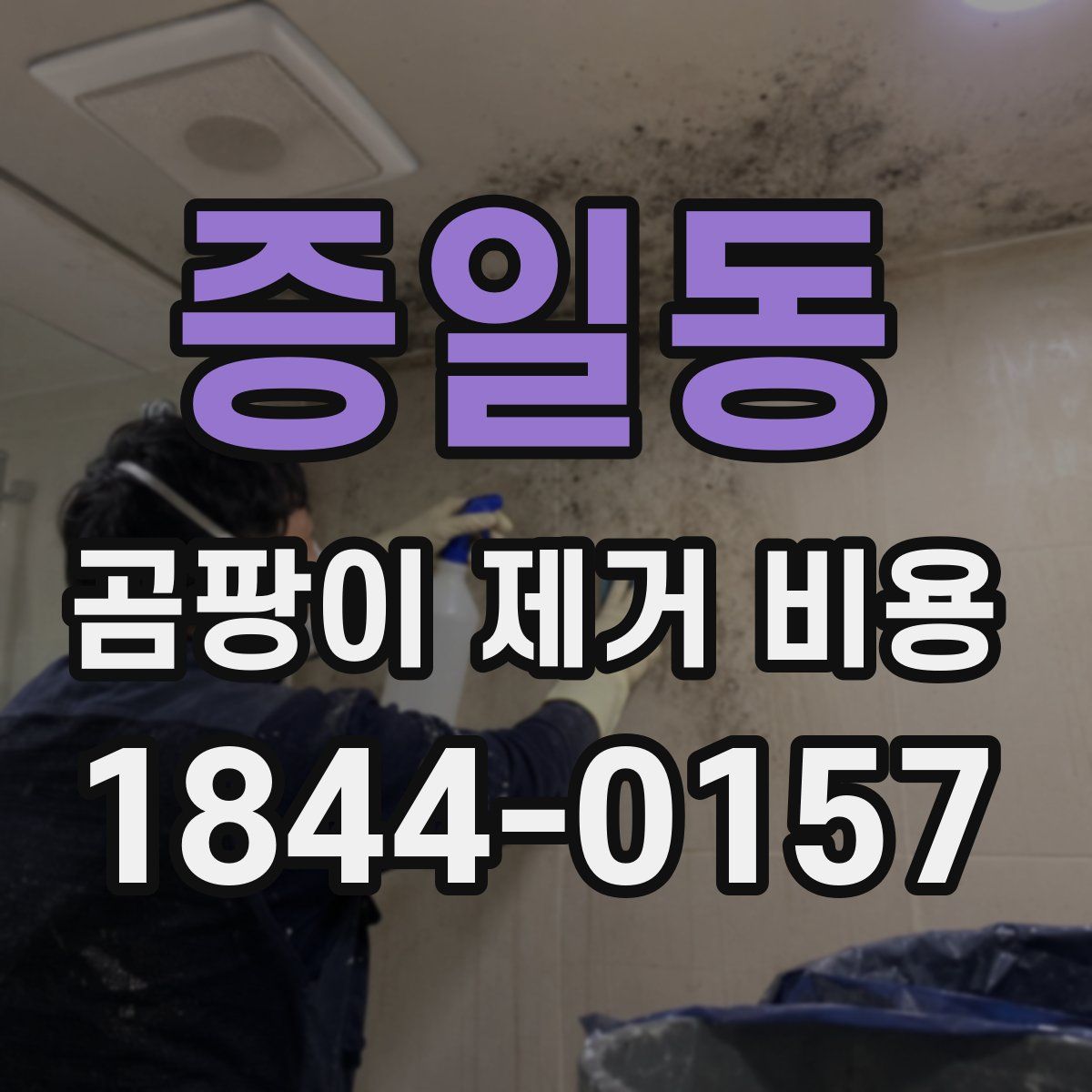 증일동 곰팡이 제거 비용