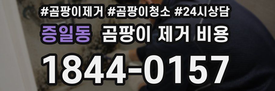 증일동 곰팡이 제거 비용