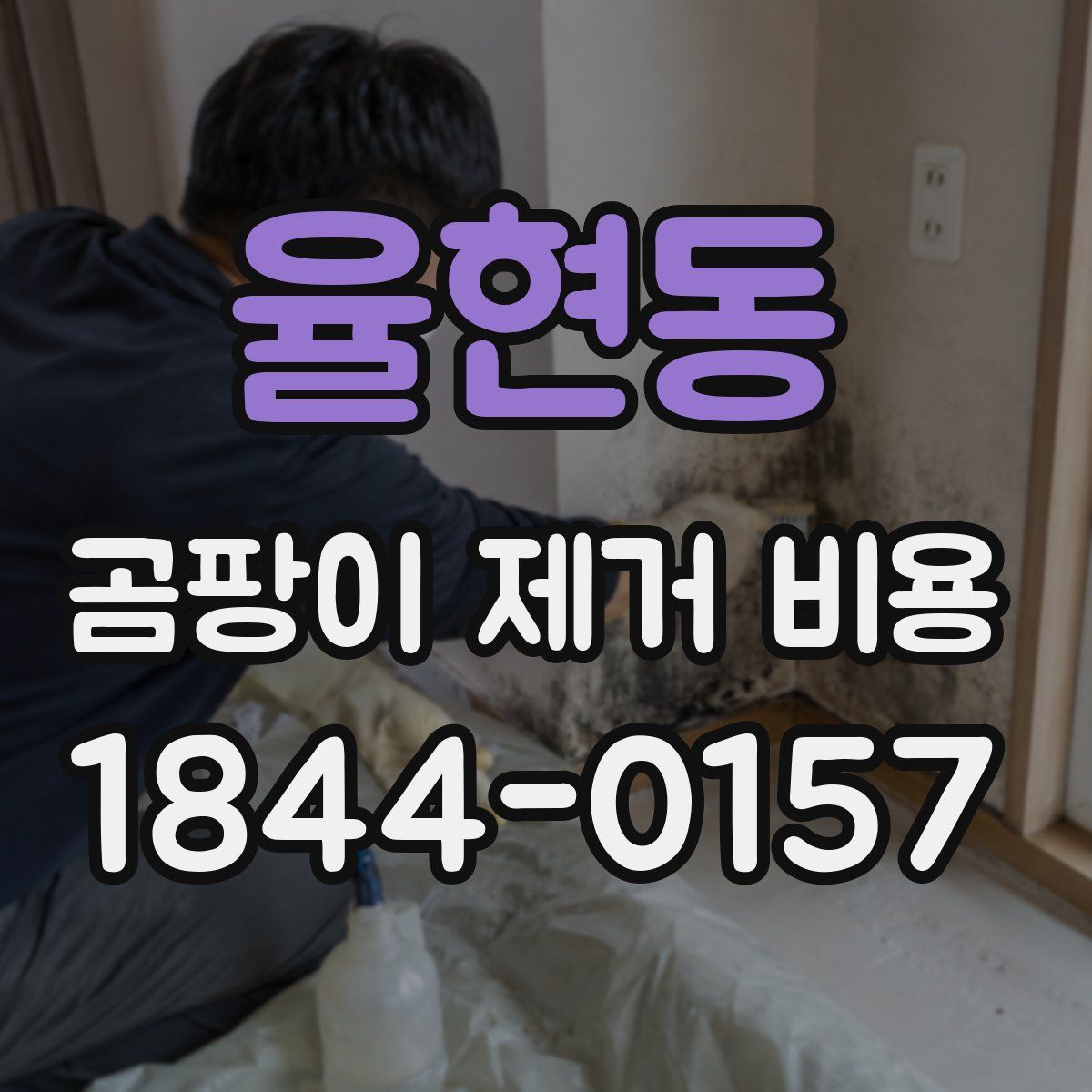 율현동 곰팡이 제거 비용