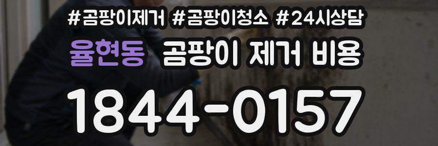 율현동 곰팡이 제거 비용