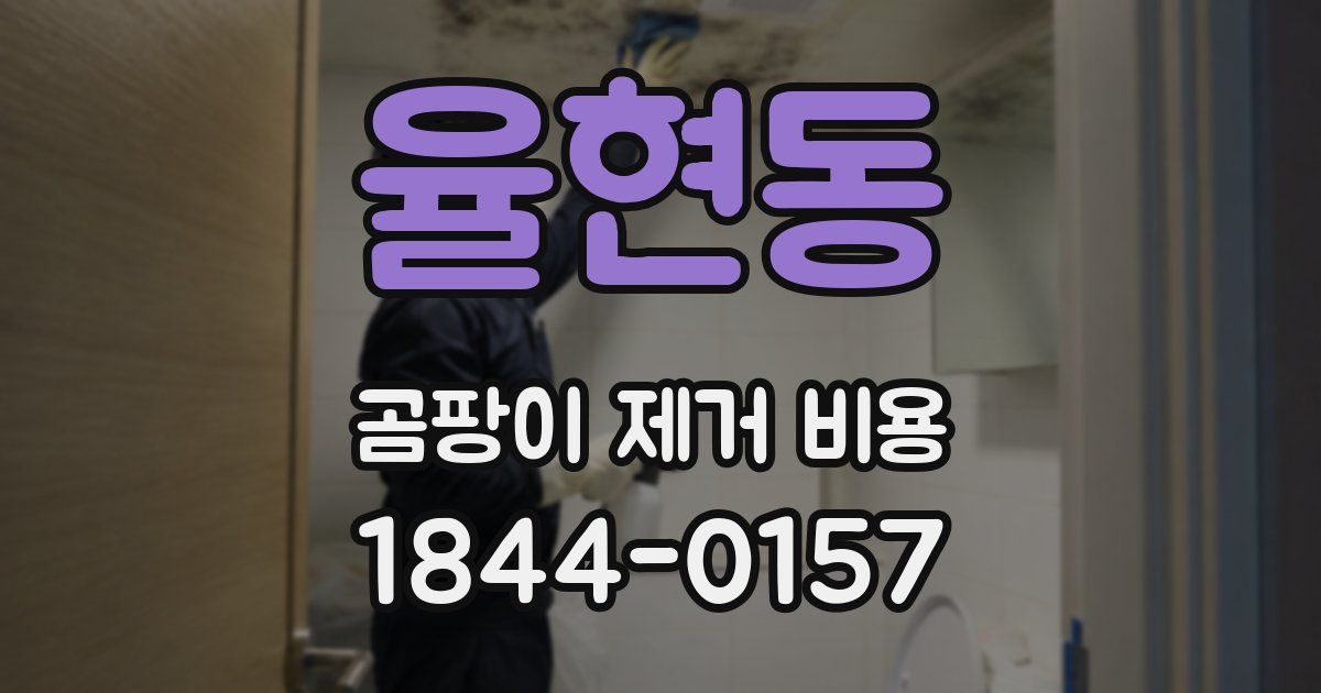 율현동 곰팡이 제거 비용