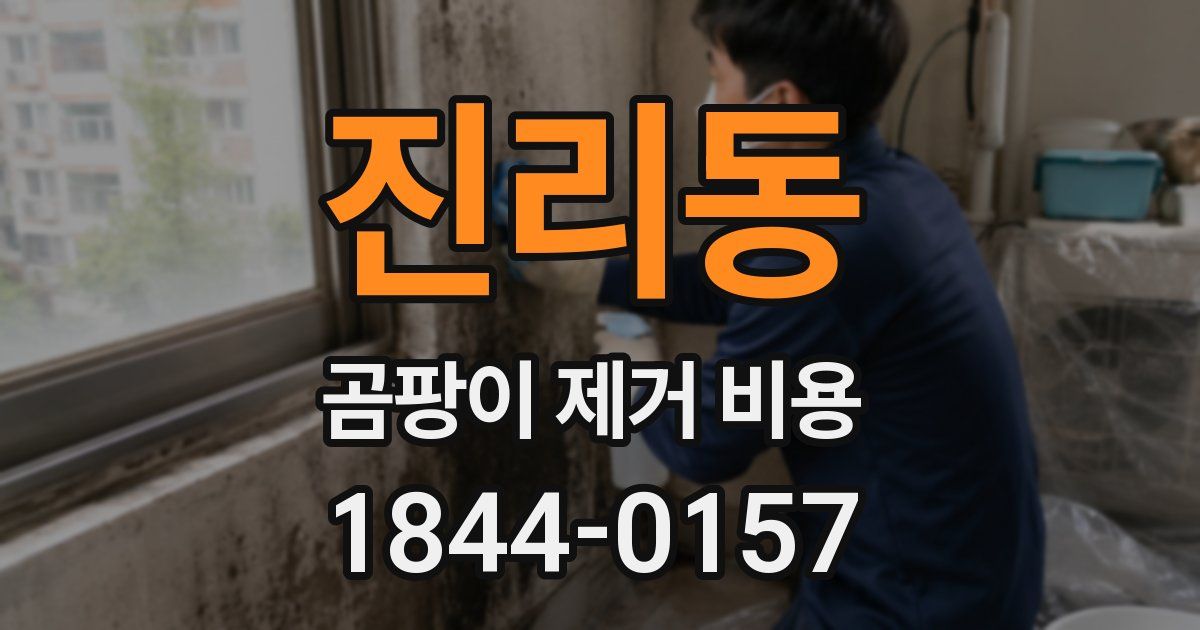 진리동 곰팡이 제거 비용