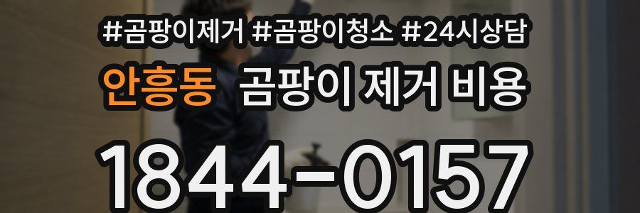 안흥동 곰팡이 제거 비용