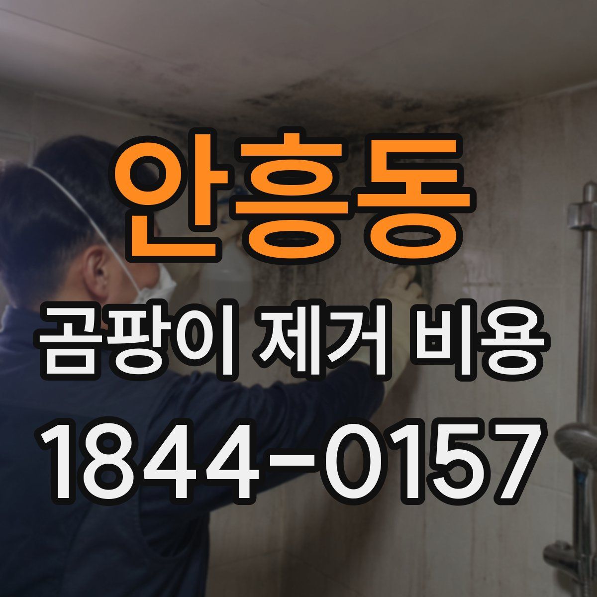 안흥동 곰팡이 제거 비용