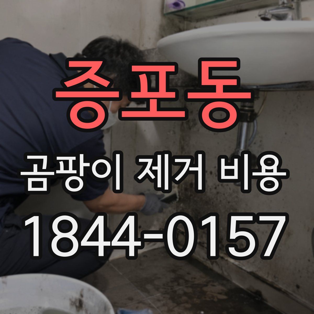 증포동 곰팡이 제거 비용