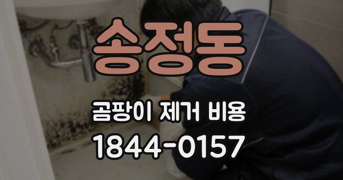 송정동 곰팡이 제거 비용