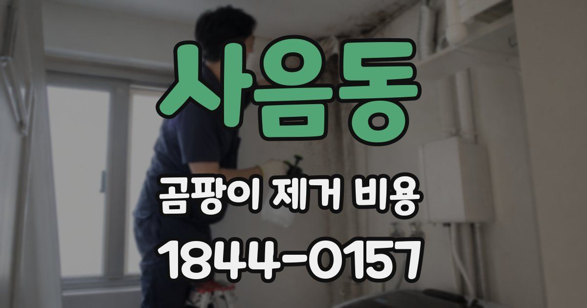 사음동 곰팡이 제거 비용
