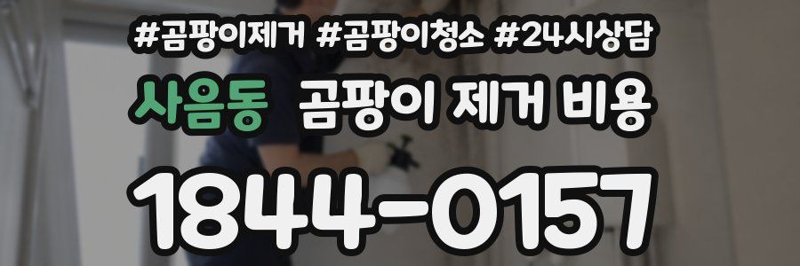 사음동 곰팡이 제거 비용