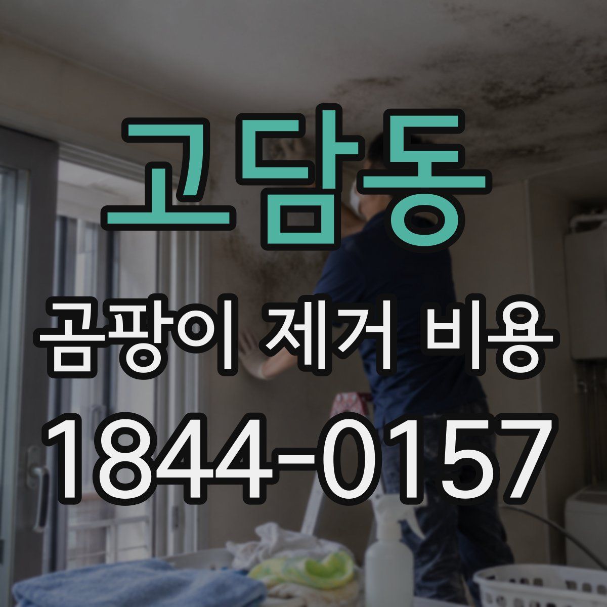 고담동 곰팡이 제거 비용