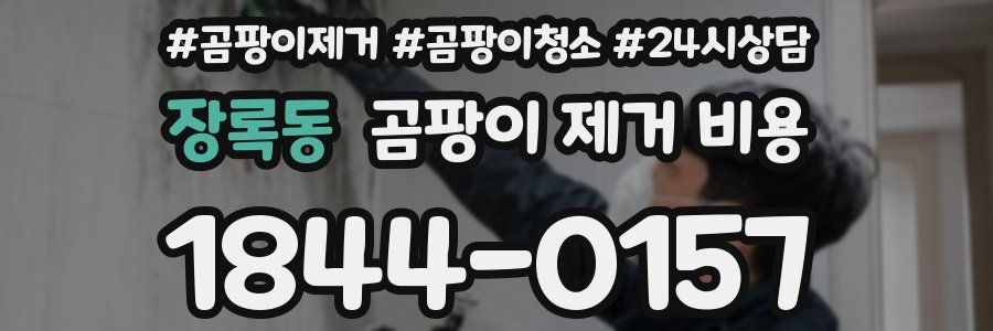장록동 곰팡이 제거 비용