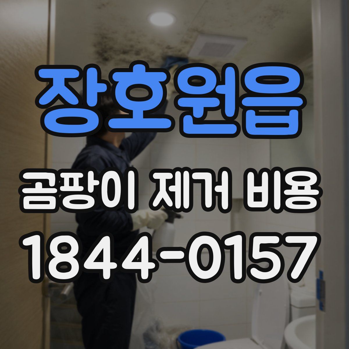 장호원읍 곰팡이 제거 비용