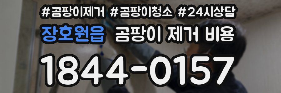 장호원읍 곰팡이 제거 비용