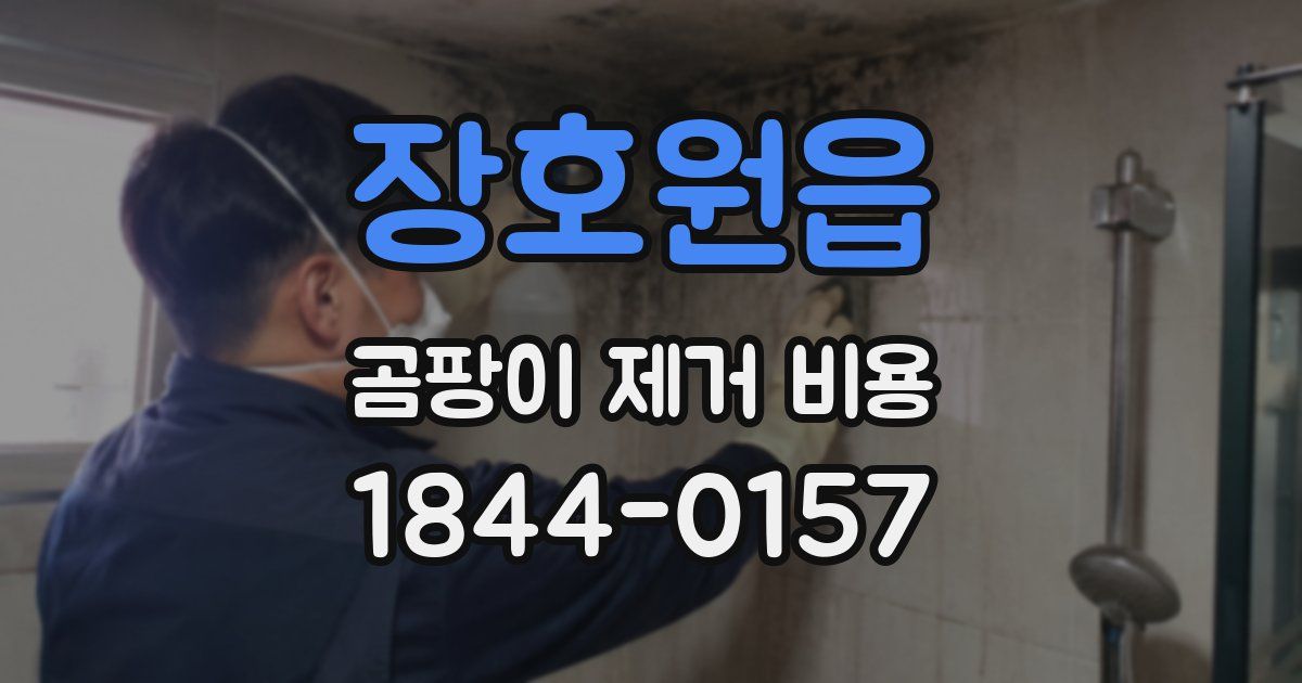장호원읍 곰팡이 제거 비용