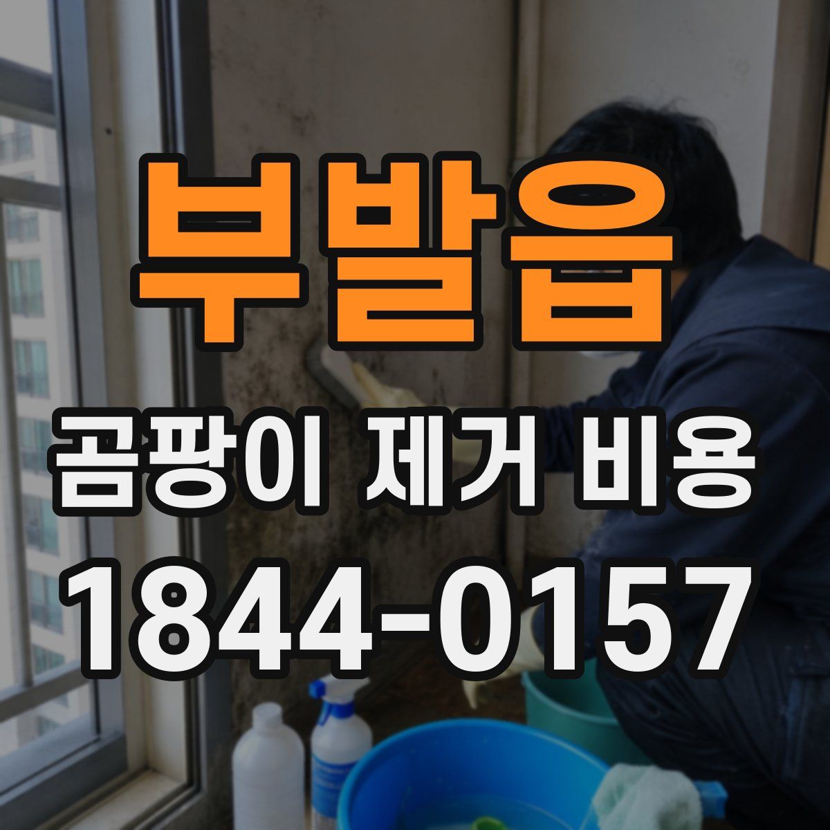 부발읍 곰팡이 제거 비용