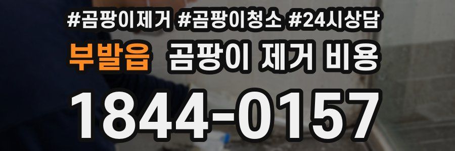 부발읍 곰팡이 제거 비용