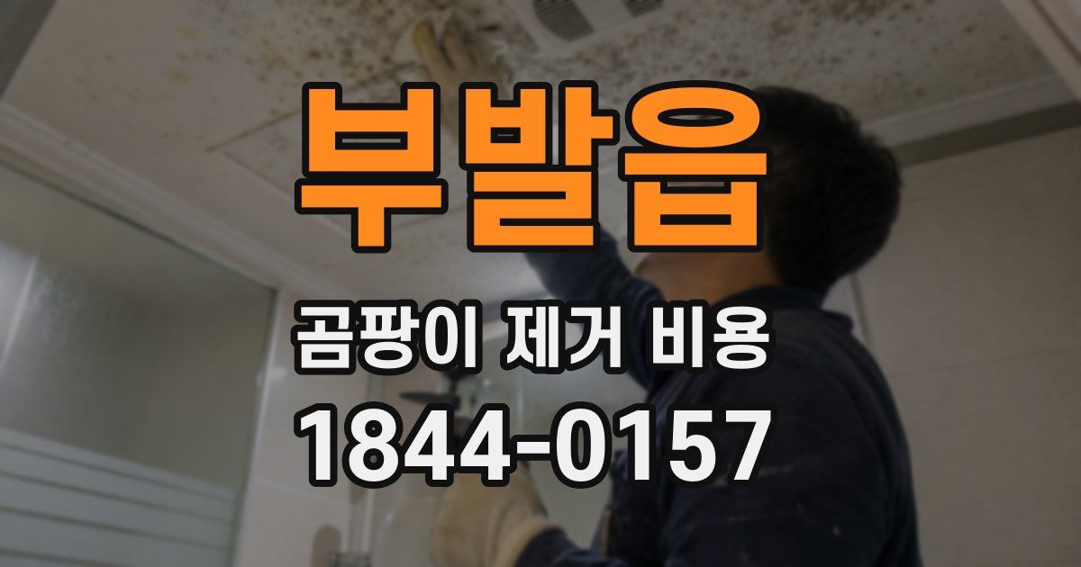 부발읍 곰팡이 제거 비용